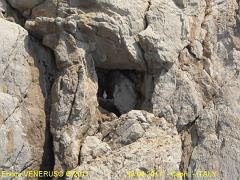 5 - La Madonnina tra le rocce